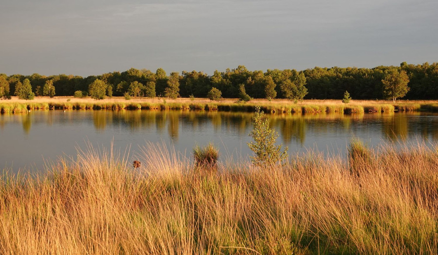 7x stille plekken in Nederland