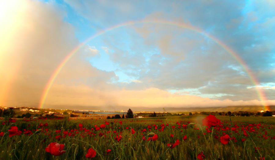 Lied 821: Dat de weg naar je toekomt
