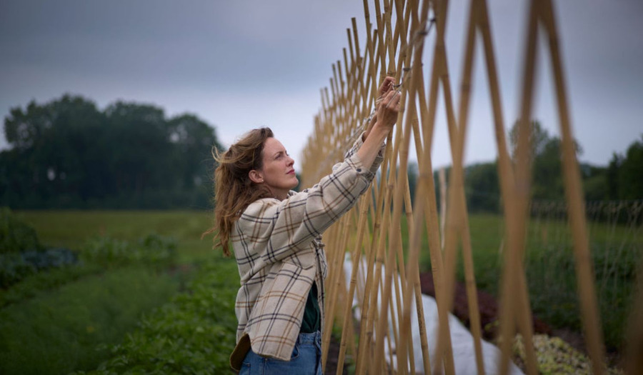 Column Trix Vahl: Hoop en een bakkie troost