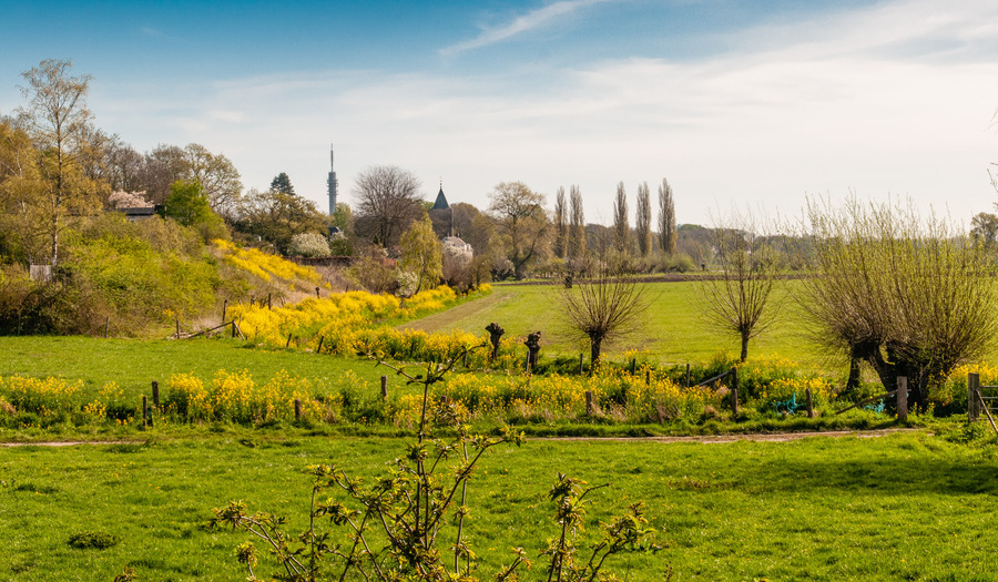 Wandeling: door de uiterwaarden van Oosterbeek