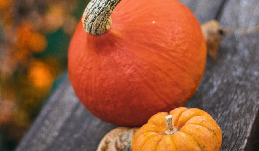 Halloween met kinderen: wat moet je ermee als christen? 