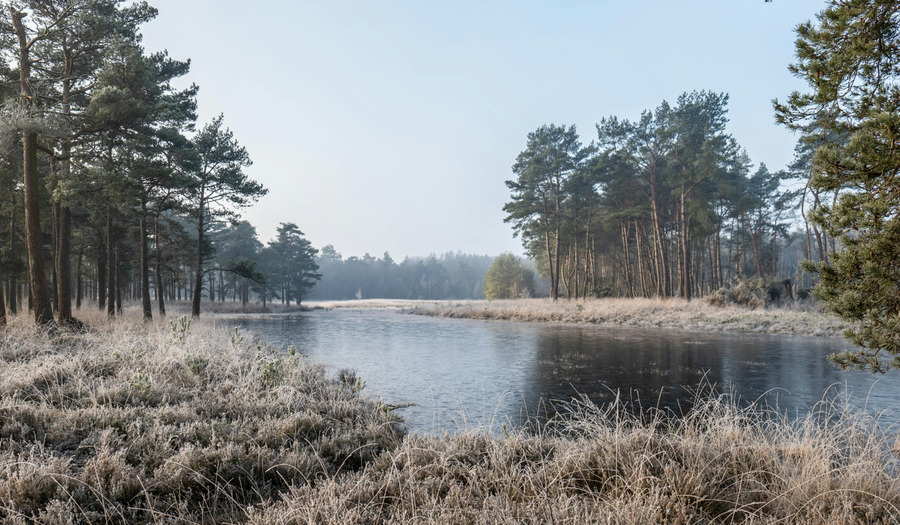 Gebed: Heer, leer ons op U hopen